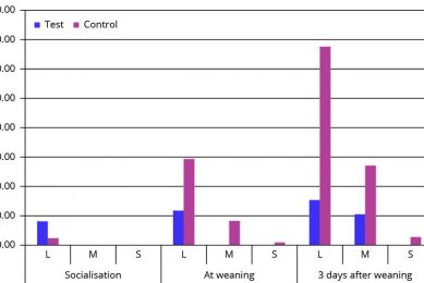 Benefits of pre-weaning piglet socialisation