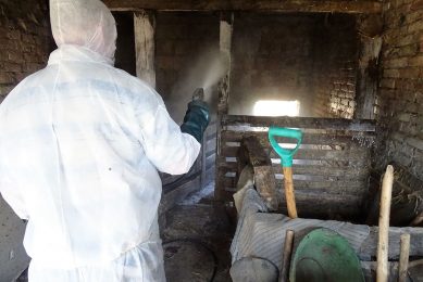 A Polish backyard farm is being disinfected. Photo: Iwana Markowska-Daniel