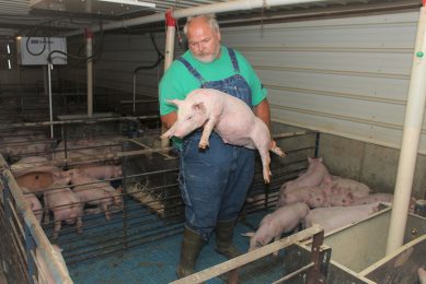 Brian Schwartz checking one of his weaner pigs. Photo: Vincent ter Beek