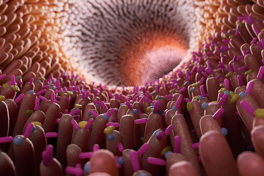 3D-illustration of the villi and bacteria in the gut. Photo: Shutterstock