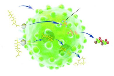 Yeast: A tool to reduce antibiotic use