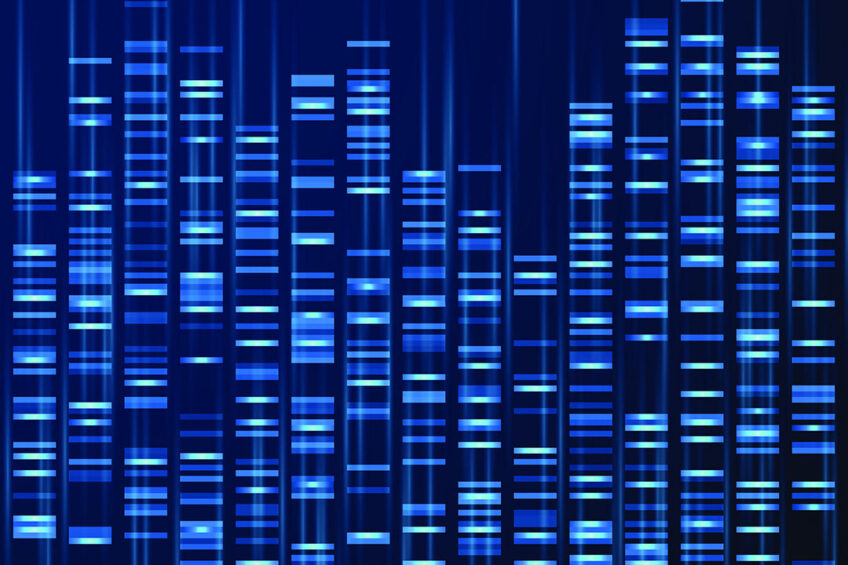 DNA sequencing could step up the meat identification process in the Philippines. - Photo: Shutterstock