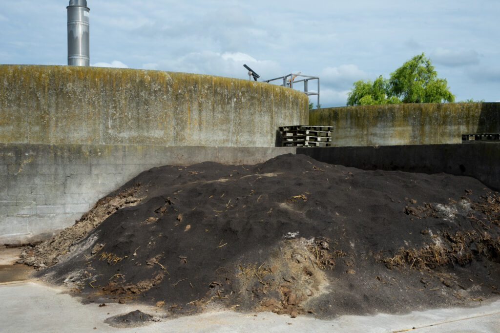 The manure storage has been covered with quicklime to make sure any remaining virus traces will be killed.