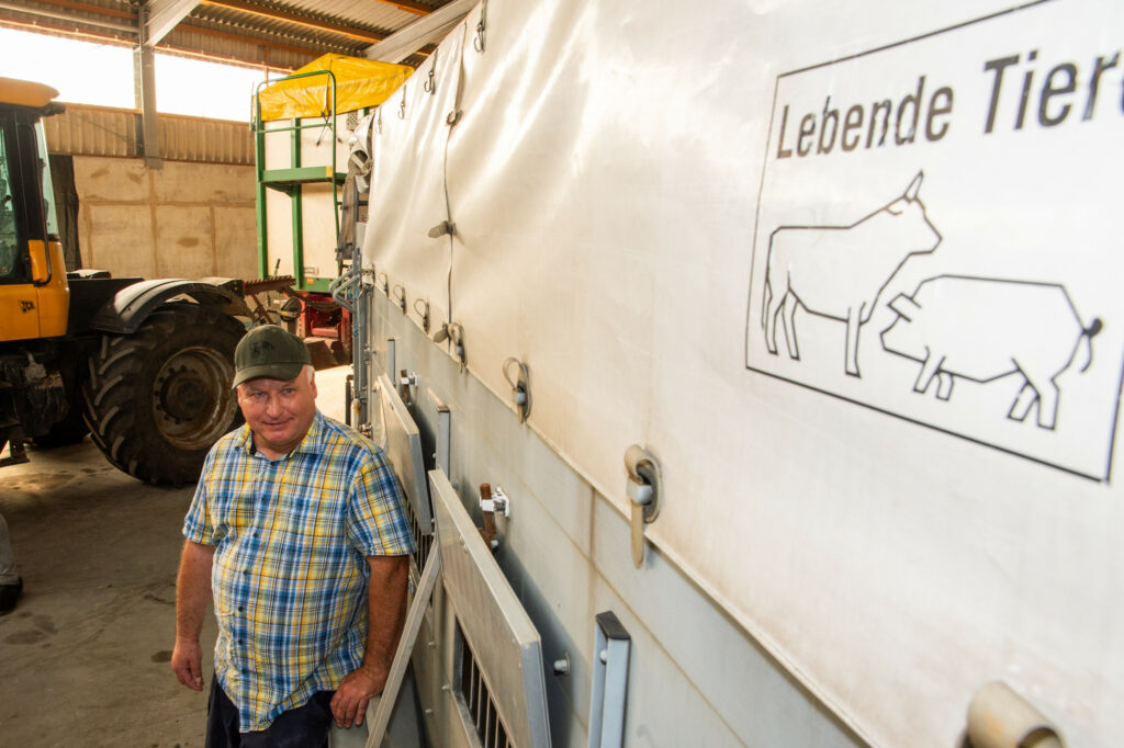 The truck that Thomas Paul would normally use to bring his pigs to market. It now stands idle in the shed.