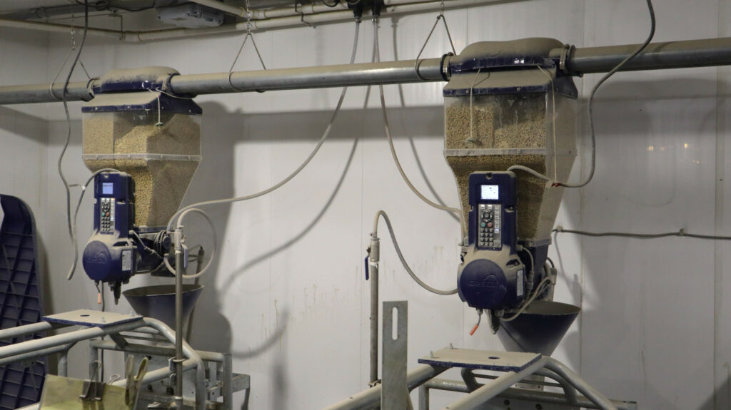 The Gestal feeding units in the farrowing house.