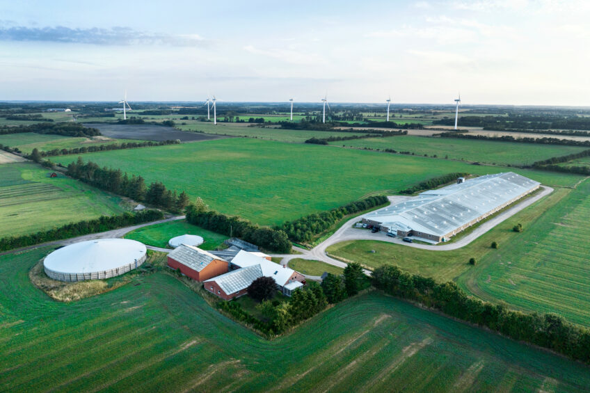 A pig farm in Varde, Denmark, home to 2,700 sows and piglets. Photo: Niels Hougaard / Misset