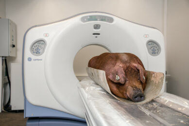 breeding CT scanning