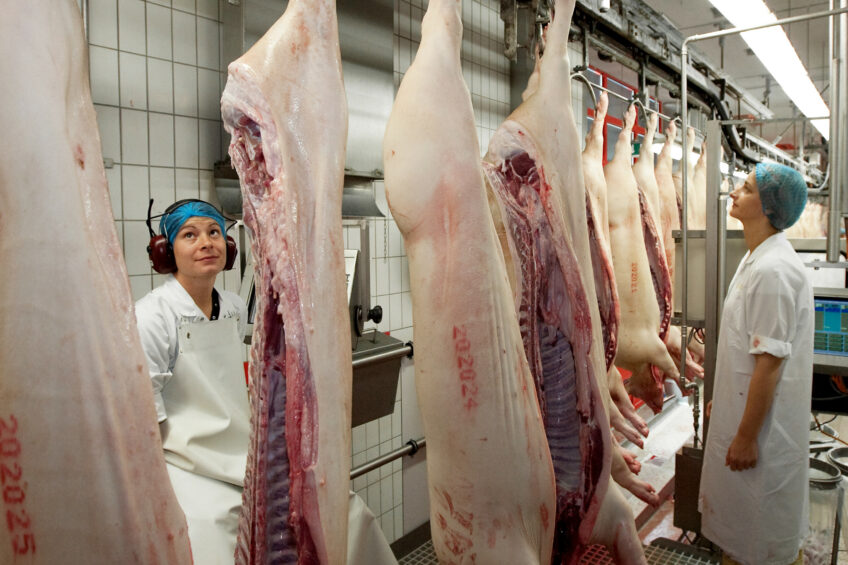 Slaughterlines in Germany were slightly busier than last year in the first 6 months of this year. Photo: Ronald Hissink