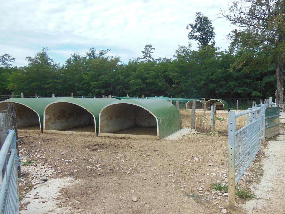 The pig loading place, where finishers will be picked up for their journey to the slaughterhouse.