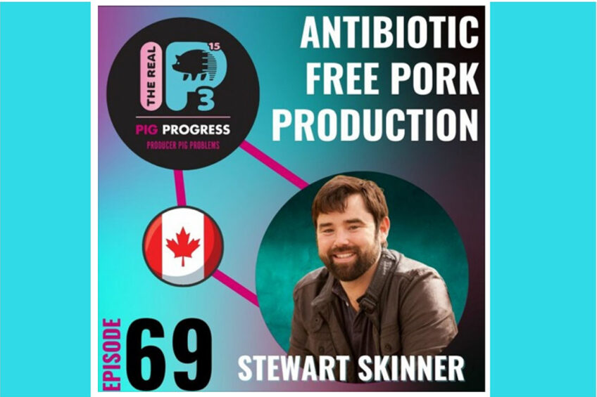 Podcast: Antibiotic-free pork production