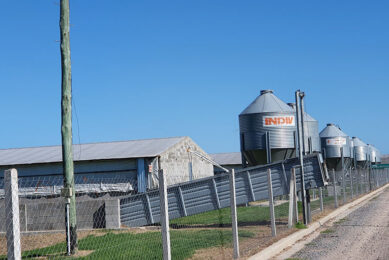 The Good Pig farm buildings, operational since 2017. - Photos: Janneke Janssens