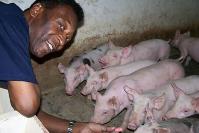 Obituary: Brazil’s Pelé also excelled in pigs