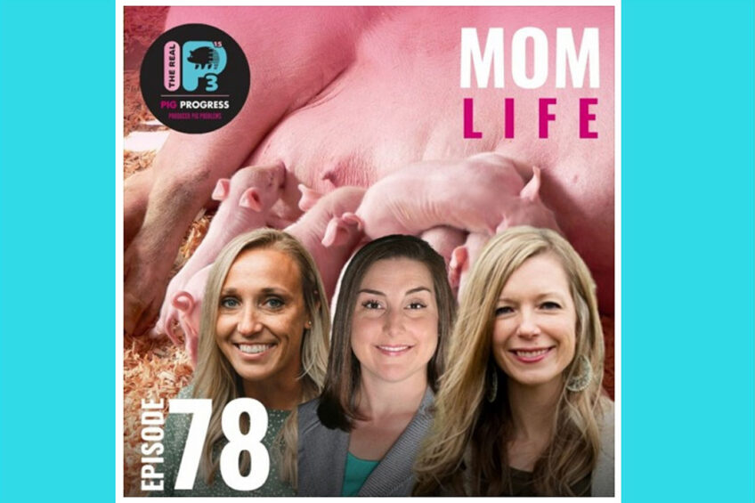 Mom life - what the pig