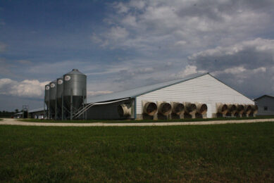 A typical swine farm in the USA with a modern, spacious set-up and characteristical ventilation systems. - Photo: Vincent ter Beek