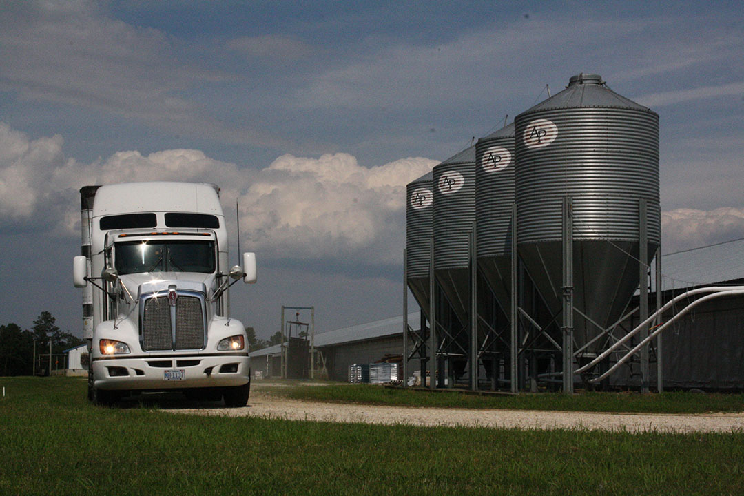 Weaner pigs on a US transport vehicle on a farm in North Carolina, on their way to a finisher site elsewhere. Having multisite production is common in the US. - Photo: Vincent ter Beek