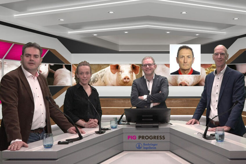 The line-up of the webinars of March 17, with from left to right Rutger Jansen, DVM, Boehringer Ingelheim; Dr Saskia Bloemhof-Abma, PIC; Vincent ter Beek, Pig Progress; Dr Alberto Morillo Alujas, Tests & Trials; and Prof Dr Leo den Hartog, Nutreco and WUR. Photo: Company Webcast