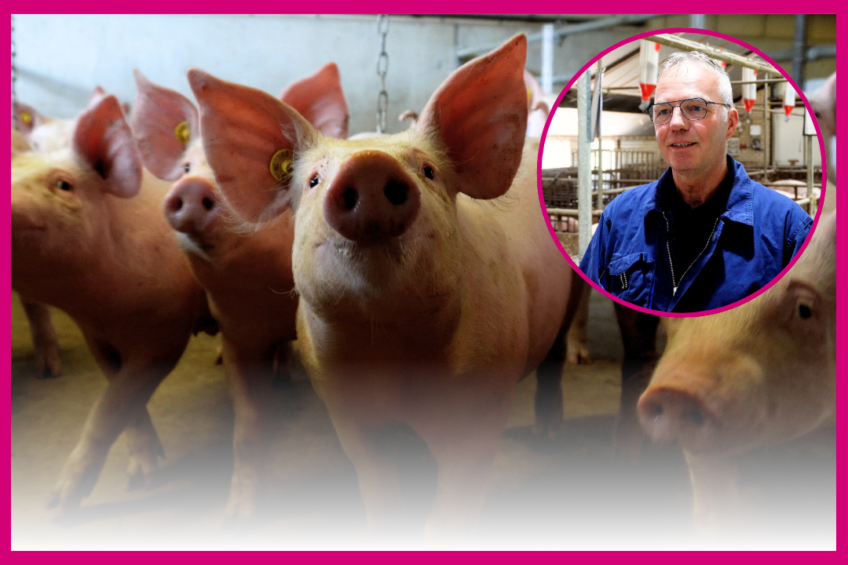 4 tips to sustainably produce pigs profitably  